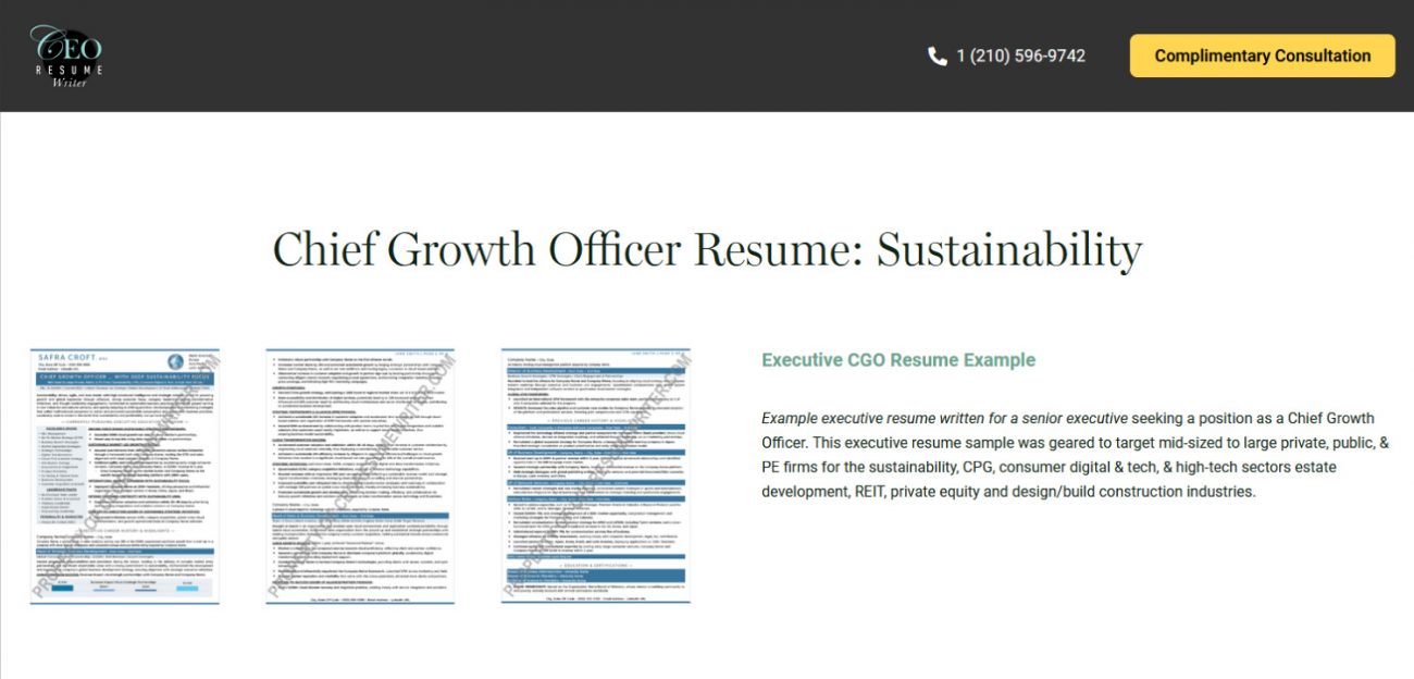 CEO Resume Writer Review