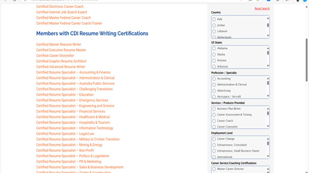 CEO Resume Writer Review