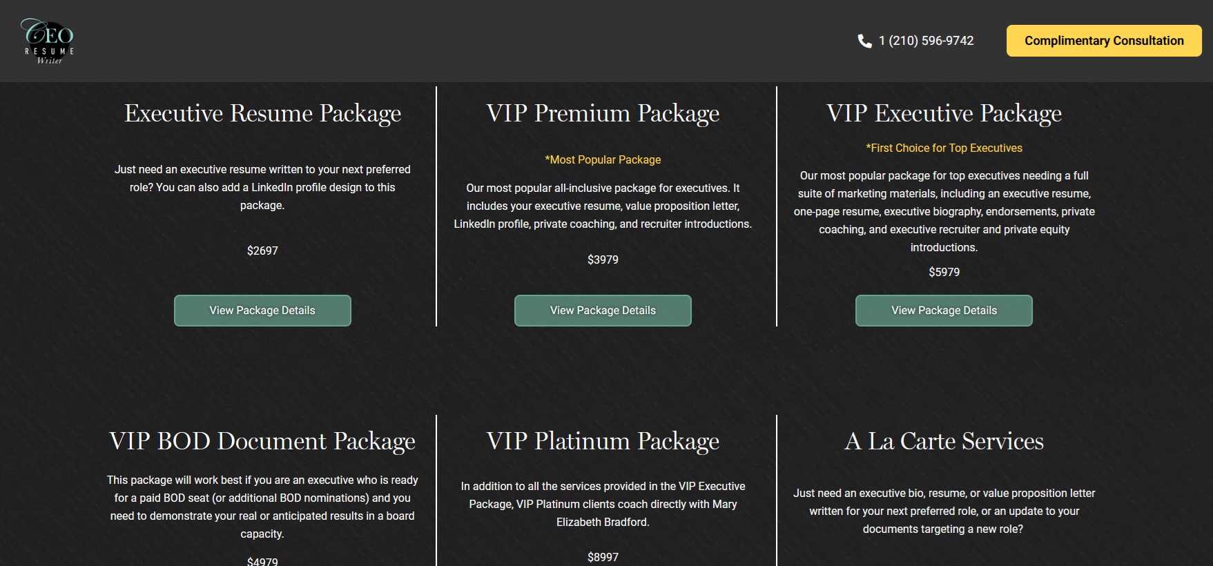 CEO Resume Writer Review