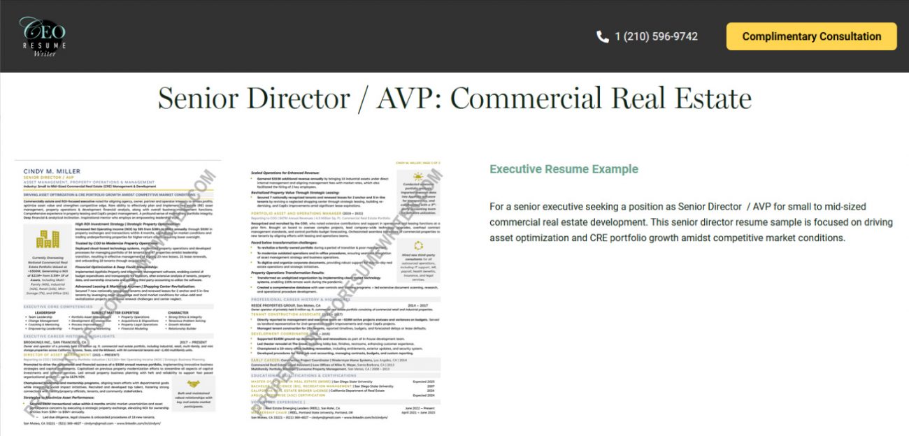 CEO Resume Writer Review