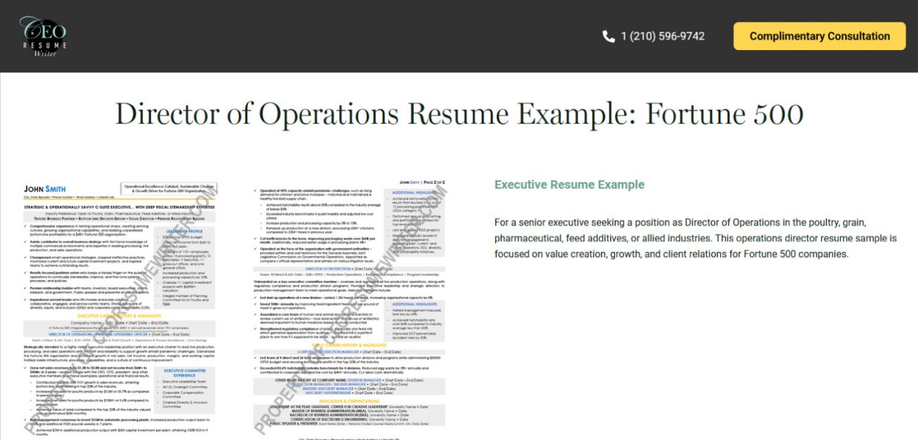 CEO Resume Writer Review