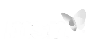 MSN-Logo-2000